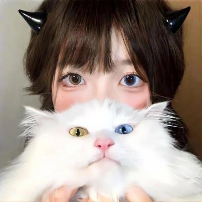 我叫MT之山口山战记